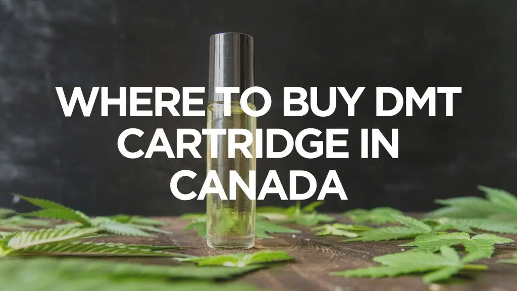 where to buy dmt catridges in canada